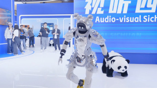 秋霞网中文字幕